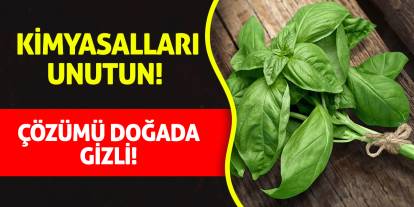 Kimyasalları Unutun! Çözümü doğada gizli!
