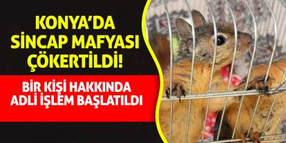 Konya’da Sincap Mafyası Çökertildi! Bir kişi hakkında adli işlem başlatıldı