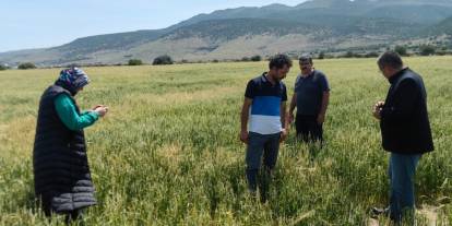 Karapınar’da dolu ve sel felaketinde etkilenen bölgelerde incelemelerde bulunuldu
