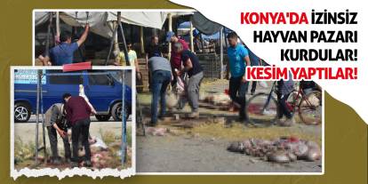 Konya'da İzinsiz Hayvan Pazarı Kurdular! Kesim Yaptılar!
