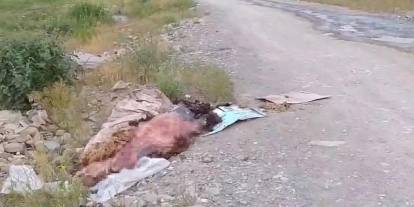 Sakatatların yol kenarına atılmasına tepki!