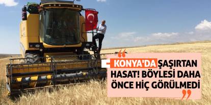 Konya'da şaşırtan hasat! Böylesi daha önce hiç görülmedi