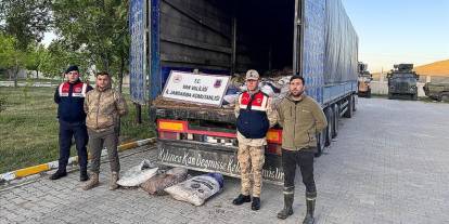 Van'da kaçak avlanmış 19 ton 200 kilogram inci kefali ele geçirildi