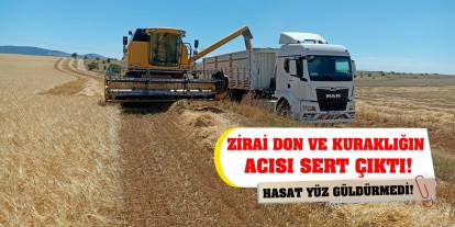 Zirai don ve kuraklığın acısı sert çıktı! Hasat yüz güldürmedi!