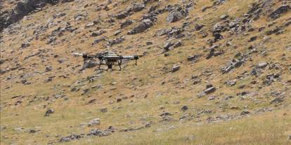 Siirt'te çekirgelere karşı dronla ilaçlama yapılıyor