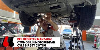 Pes Dedirten Manzara! Otomobilin Motorundan Öyle Bir Şey Çıktı Ki