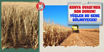 Konya Ovası’nda Son Durum! Yüzler Bu Sene Gülmeyecek!