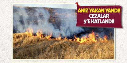 Anız Yakan Yandı! Cezalar 5'e Katlandı!