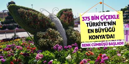375 Bin Çiçekle Türkiye'nin En Büyüğü Konya'da! Renk Cümbüşü Başladı!