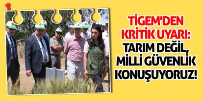 TİGEM'den Kritik Uyarı: Tarım Değil, Milli Güvenlik Konuşuyoruz!