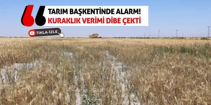 Tarım Başkentinde Alarm! Kuraklık Verimi Dibe Çekti