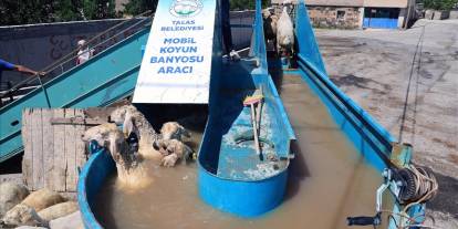 Kene için böyle yöntem görülmedi! Küçükbaşlara 'Mobil Banyo' Şaşkınlığı!