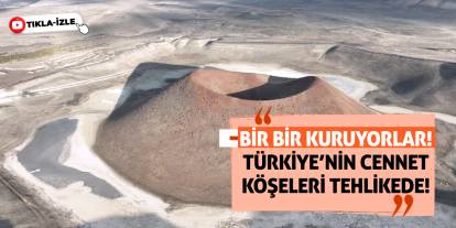 Bir bir kuruyorlar! Türkiye’nin Cennet Köşeleri Tehlikede!