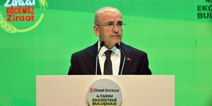Bakan Şimşek: Evlerde kullanılan elektriğin yüzde 55'ini, doğal gazın yüzde 65'ini devlet sübvanse ediyor