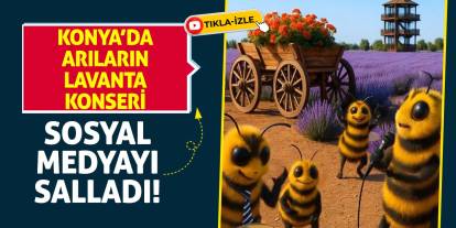 Konya'da Arıların Lavanta Konseri Sosyal Medyayı Salladı!