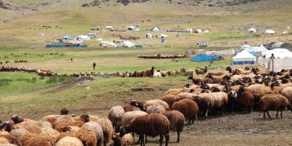 371 yaylaya yerleşen göçer aileler yazı çadırlarda geçiriyor