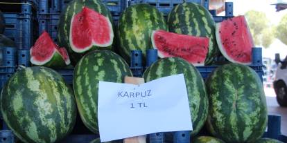 Halde kilosu 1 TL'ye düşen karpuz markette 14 TL
