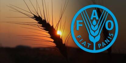 Türkiye, FAO konsey üyeliğine seçildi