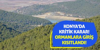 Konya'da Kritik Karar! Ormanlara Giriş Kısıtlandı!