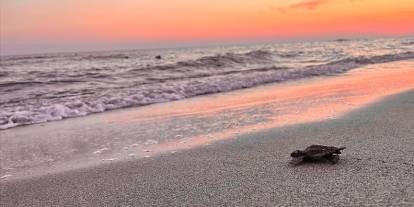 Akdeniz'in incisi eylem planı ile korunacak