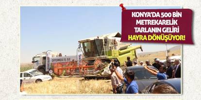 Konya’da 500 Bin Metrekarelik Tarlanın Geliri Hayra Dönüşüyor!