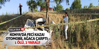 Konya'da feci kaza! Otomobil ağaca çarptı: 1 ölü, 2 yaralı!