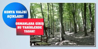 Konya Valisi Açıkladı! Ormanlara Giriş Bu Tarihlerde Yasak!