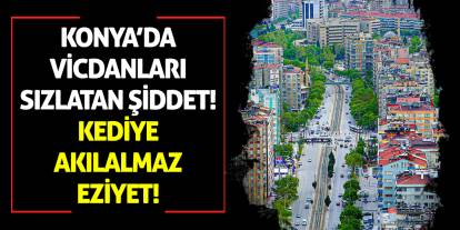 Konya’da Vicdanları Sızlatan Şiddet: Kediye Akılalmaz Eziyet!