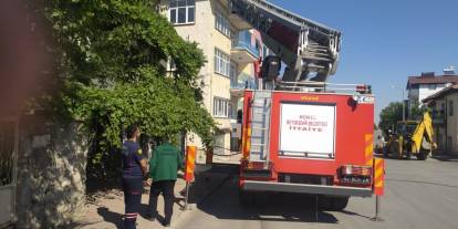 Konya'da kedi kurtarma operasyonu! İtfaiye seferber oldu!