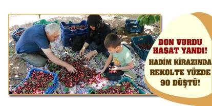 Don vurdu hasat yandı! Hadim kirazında rekolte yüzde 90 düştü!