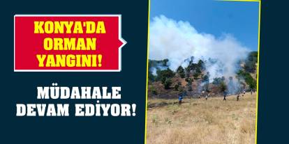 Konya'da orman yangını! Müdahale devam ediyor!