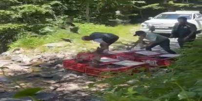 Kene ile mücadele timleri doğaya salındı
