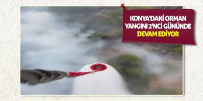 Konya'daki orman yangını 2'nci gününde devam ediyor