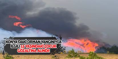 Konya'daki orman yangınıyla ilgili 15 yaşındaki çocuk gözaltına alındı!