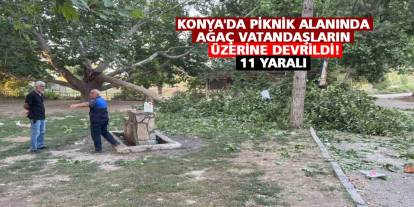 Konya'da piknik alanında ağaç vatandaşların üzerine devrildi!  11 yaralı