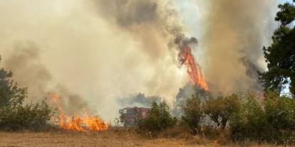 OGM'den yangın uyarısı: Bir anlık dikkatsizlik afete neden olabilir