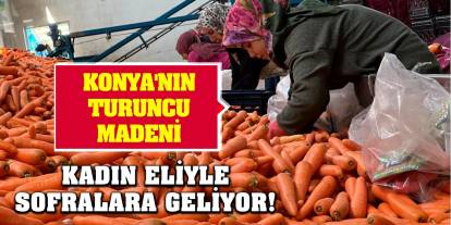 Konya'nın turuncu madeni kadın eliyle sofralara geliyor!