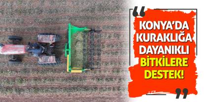 Konya’da Kuraklığa Dayanıklı Bitkilere Destek!