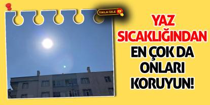 Yaz sıcaklığından en çok da onları koruyun!