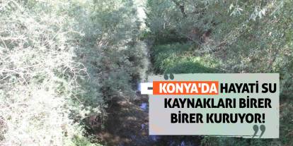 Konya'da Hayati Su Kaynakları Birer Birer Kuruyor!