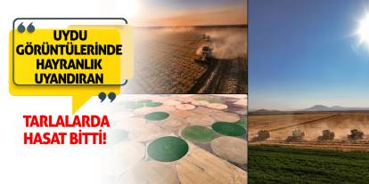 Uydu Görüntülerinde Hayranlık Uyandıran Tarlalarda Hasat Bitti!