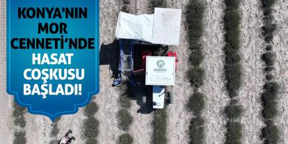 Konya'nın Mor Cenneti’nde Hasat Coşkusu Başladı!