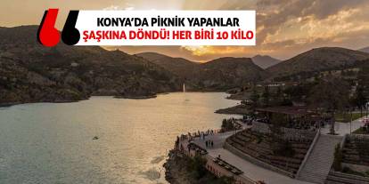 Konya’da piknik yapanlar şaşkına döndü!  Her biri 10 kilo