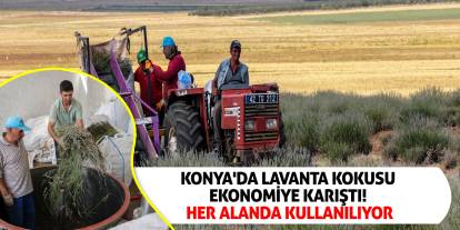 Konya'da Lavanta Kokusu Ekonomiye Karıştı! Her Alanda Kullanılıyor