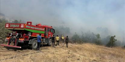 Şırnak Ormanları Alevlerden Kurtuldu