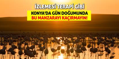 Konya'da gün doğumunda bu manzarayı kaçırmayın! Binlerce var