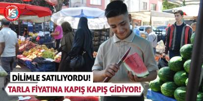 Dilimle Satılıyordu! Tarla Fiyatına Kapış Kapış Gidiyor!