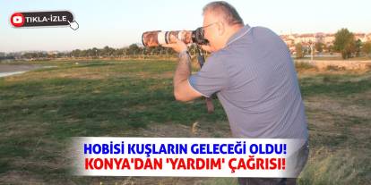 Hobisi Kuşların Geleceği Oldu! Konya'dan 'Yardım' Çağrısı!