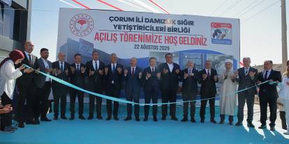 17 ilde hayvan pazarları açılacak!