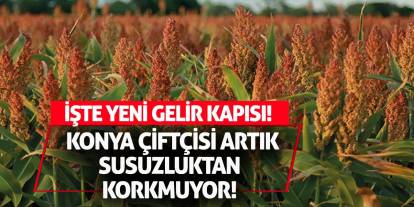 Konya Çiftçisi Artık Susuzluktan Korkmuyor! İşte Yeni Gelir Kapısı!